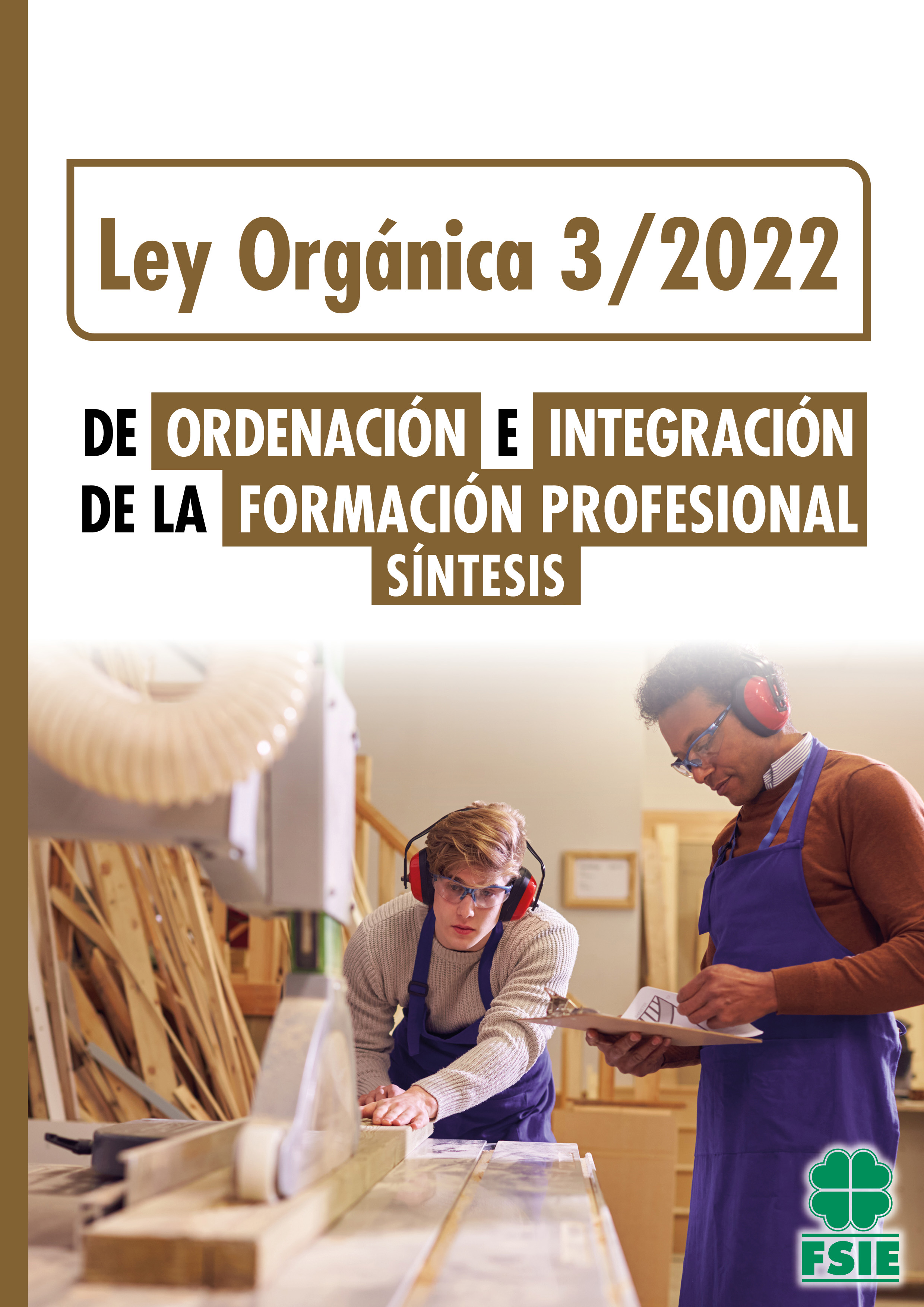 Ley Orgánica 3 / 2022